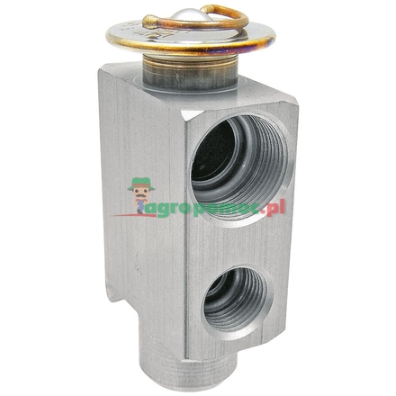  Expansion valve | F395550050160, F395550050090