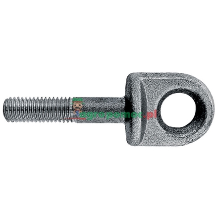  Eyebolt