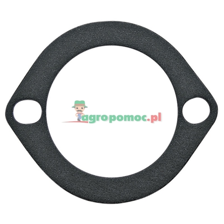  Filter connection gasket | 27272