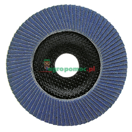  Flap disc