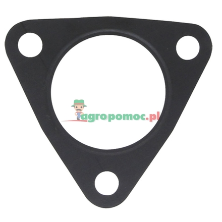  Gasket | F119200100030