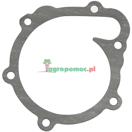  Gasket | 04202975, 04800918