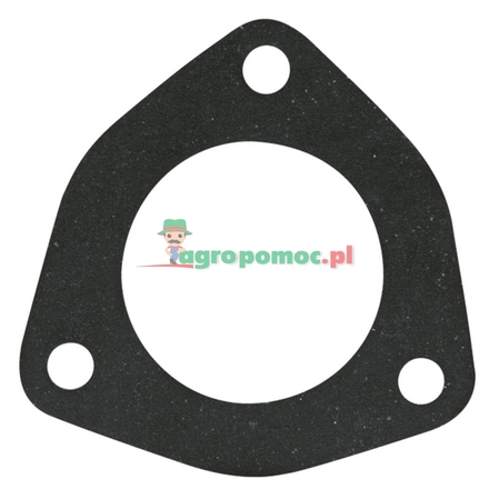  Gasket | 4599809