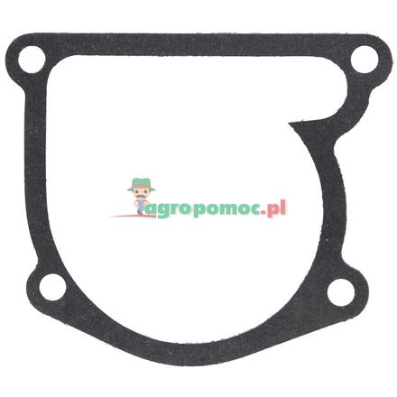  Gasket | 950613