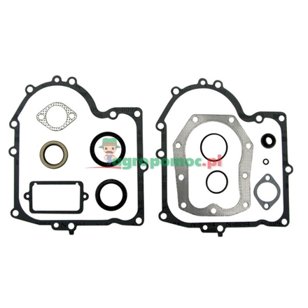  Gasket set | 494241, 490525