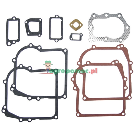  Gasket set | 794209, 298989