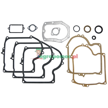  Gasket set | 393411, 391807