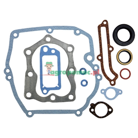  Gasket set | 496117, 493263