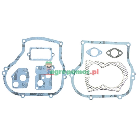  Gasket set | 496659