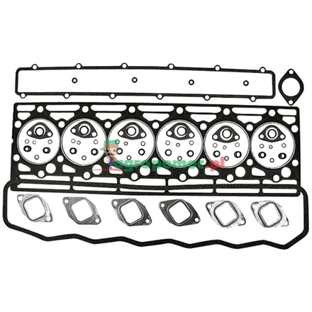  Gasket set | 3136801R99