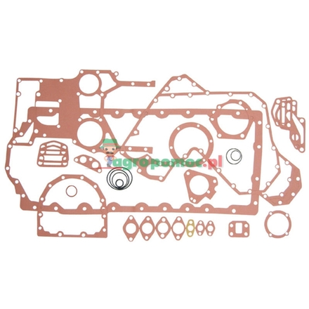  Gasket set | 4224613M91, 3638660M91