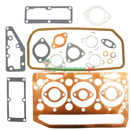  Gasket set | 4222562M91