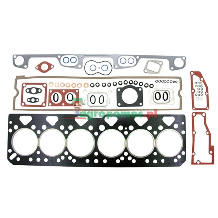  Gasket set | 4224665M91, U5LT0179