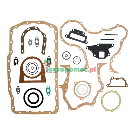  Gasket set | 81813951