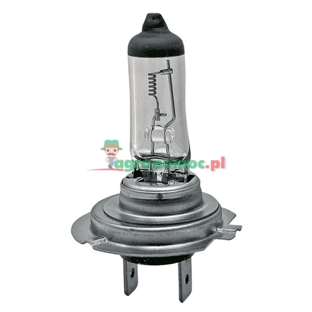  Halogen bulb H7