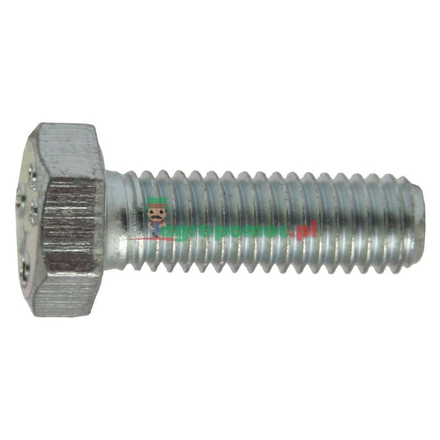  Hexagon head bolt