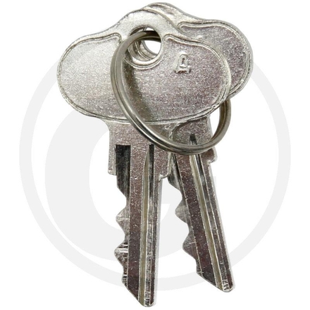  Ignition key | AM131841, AM101600