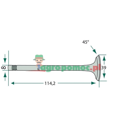  Inlet valve | 957E6507, 81717767