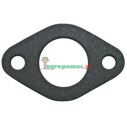  Intake gasket | 27828S, 027828