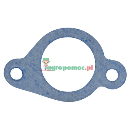  Intake gasket | 272199S, 272199, 272199S