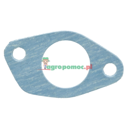  Intake gasket | K262756, K921730