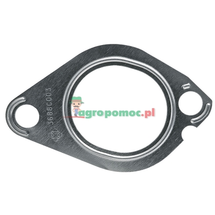  Intake gasket | 3638737M1