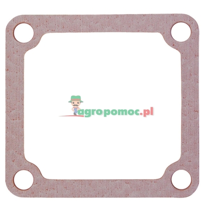  Intake gasket | 4899921