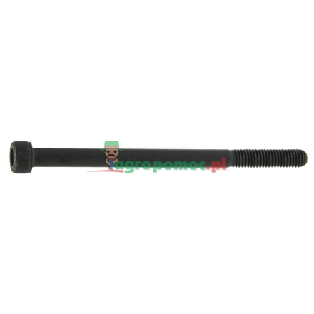  NG10-Fixing bolt M6x190 12.9