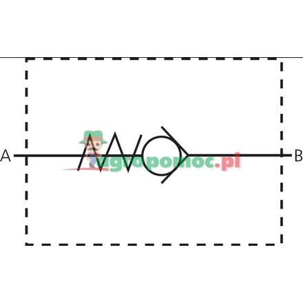  Non-return valve RV-R-12 | RV-R-12