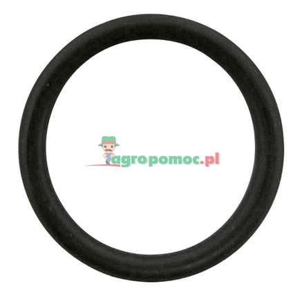  O-ring 17x2 NBR90 for DVS 6