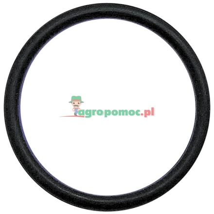  Oil seal | 2961.0037