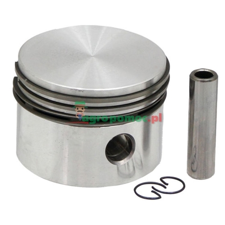  Piston | 793214, 298904