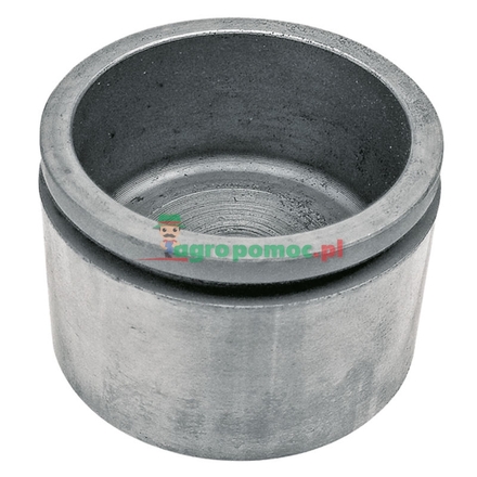  Piston | 7701025830