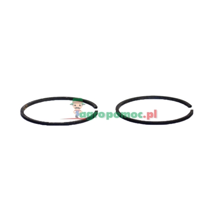  Piston ring | 5032890-19, 5015762-01