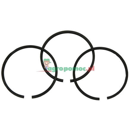  Piston ring set | 28986, 1610009