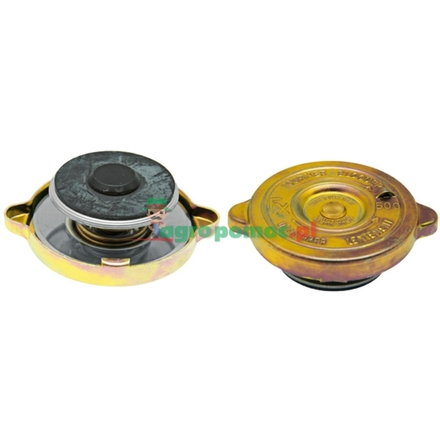  Radiator filler cap | 3111424R91