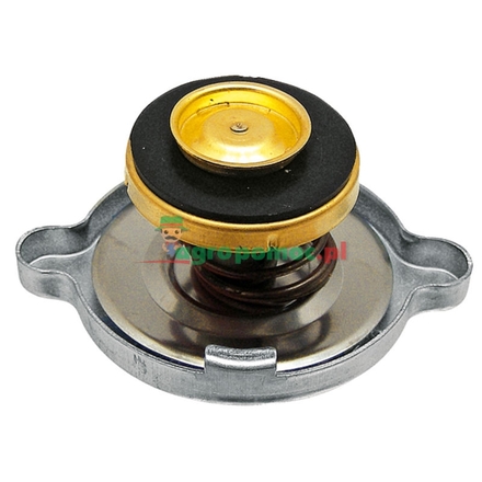  Radiator filler cap | 3475308M1, 826772M1