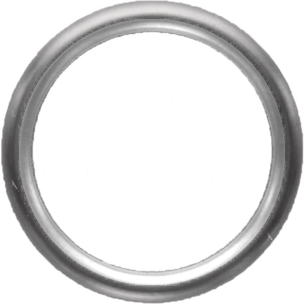  Sealing ring