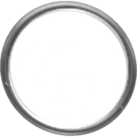  Sealing ring