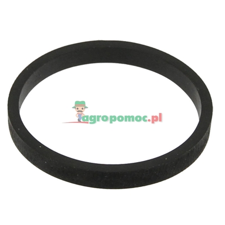  Sealing ring | F119200210430