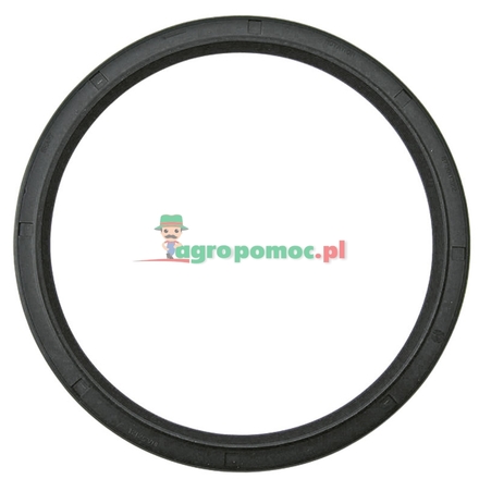  Sealing ring | 87802757