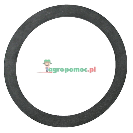  Sealing ring