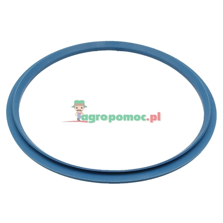  Sealing ring | 716300050131