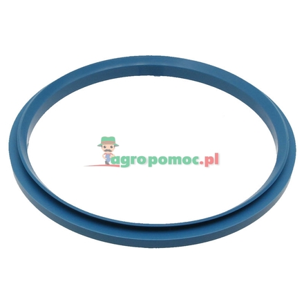  Sealing ring | 716300050081