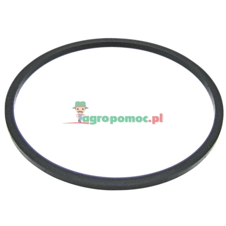  Sealing ring | 3105001R1