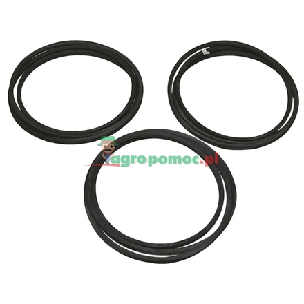  V-belt set | 00460199