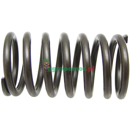  Valve spring | K921436