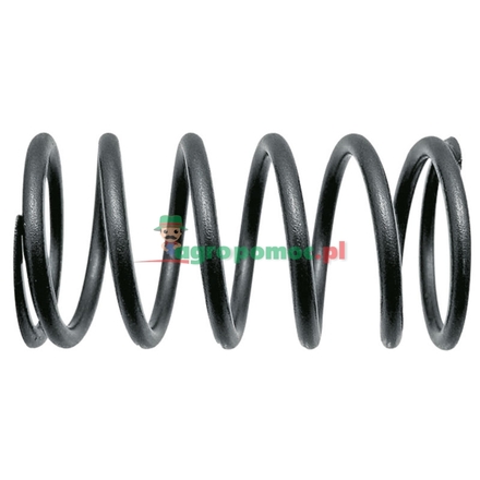  Valve spring | F284201011020