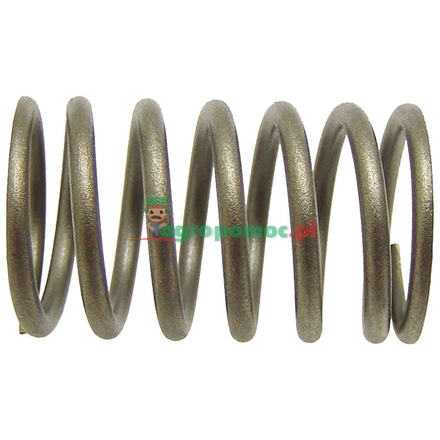  Valve spring | 731153M1