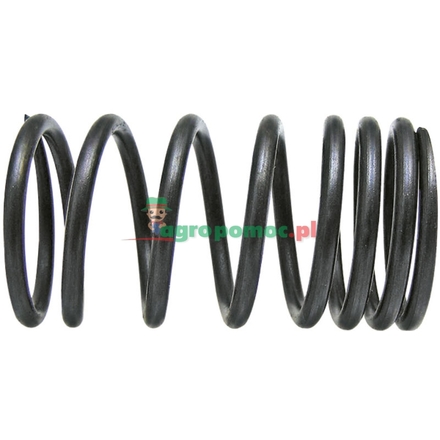  Valve spring | 735521M1